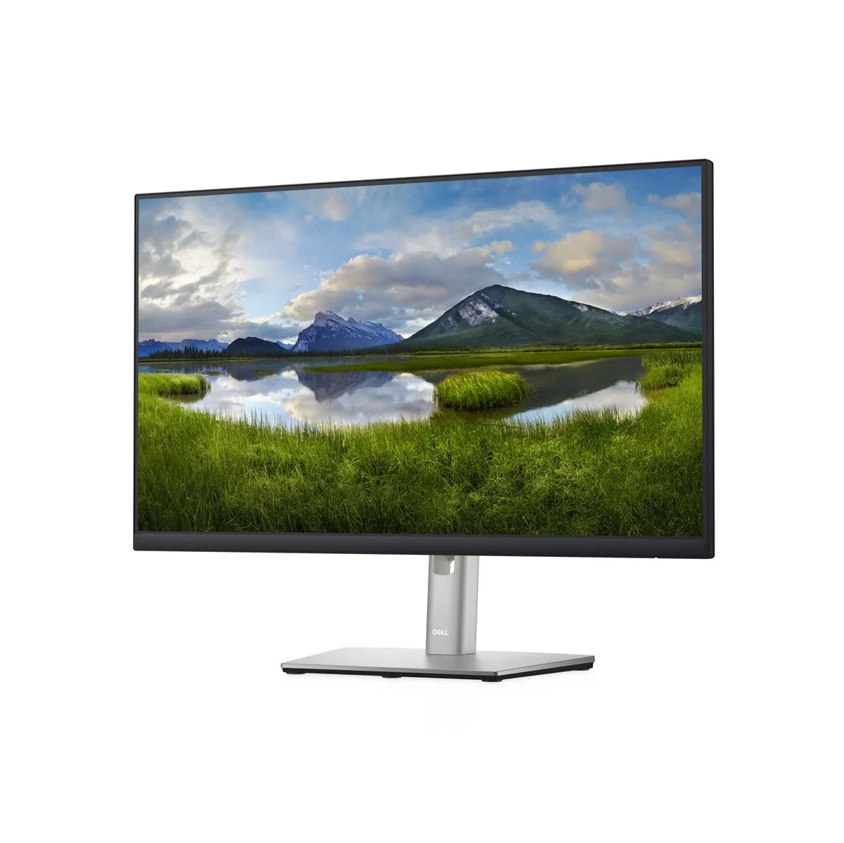 Dell Monitor P2422H | 23.8" | Full HD | schwarz