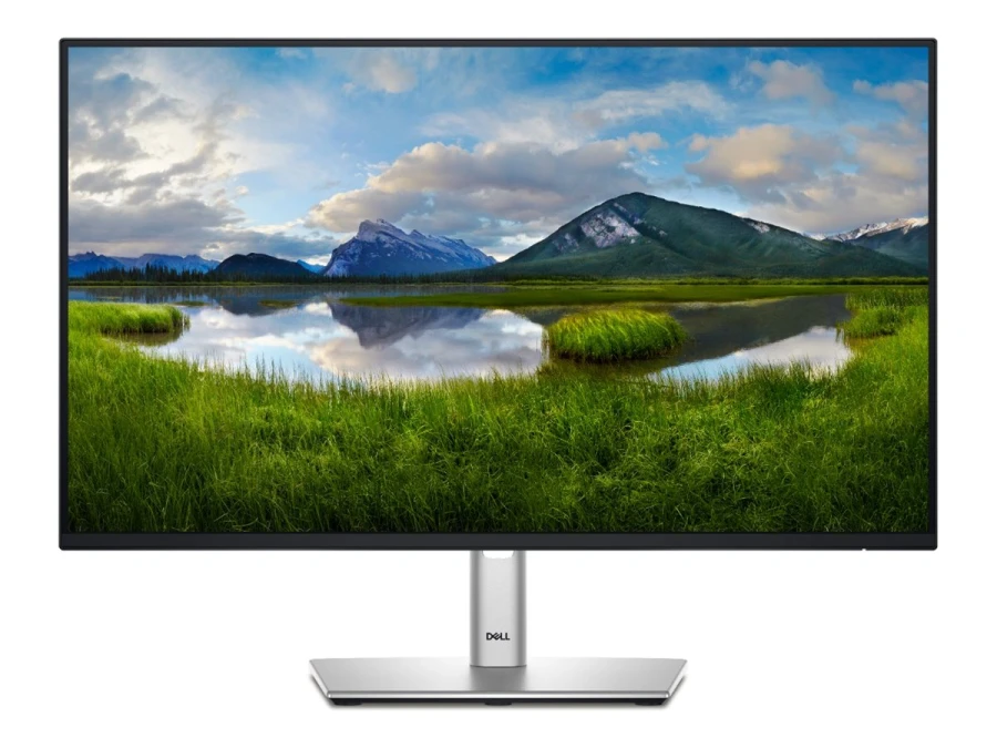 Dell Monitor P2425H | 24" | Full HD | schwarz